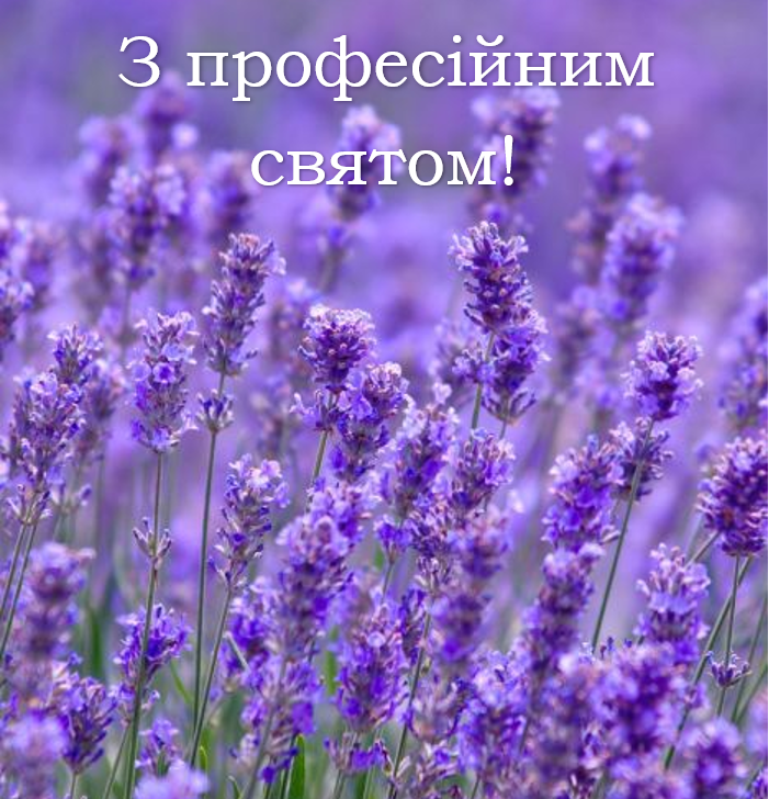 З Днем бухгалтера та аудитора!